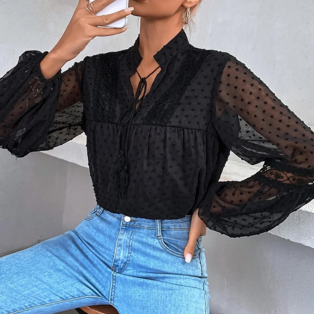 Swiss Dot V neck Tassel Tie Semi Sheer Long sleeve Top
